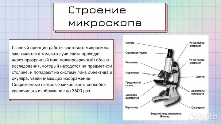Репетитор по географии/биологии