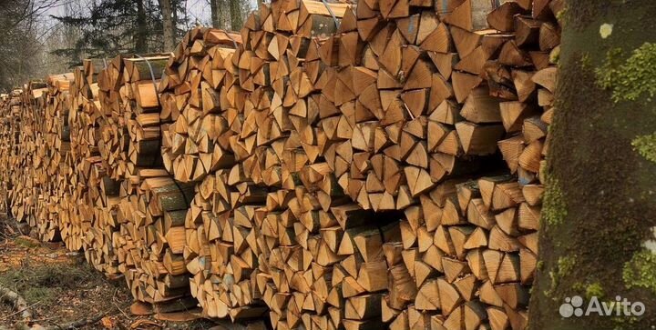 Дрова сухие