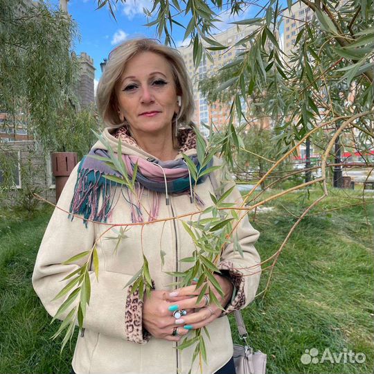 Продавец, администратор, менеджер