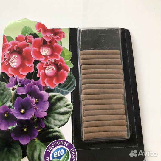 Фиалка в горшке