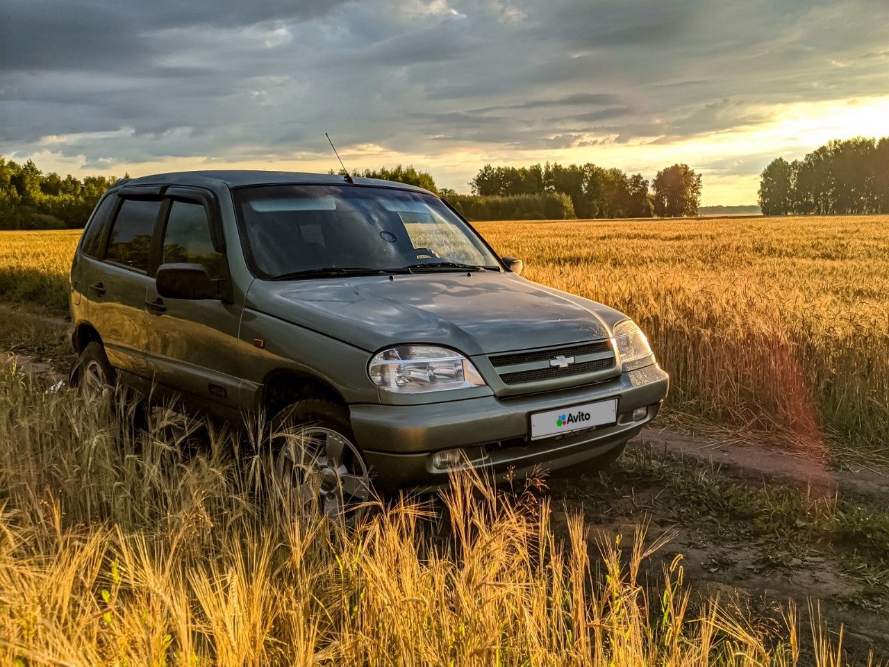 Chevrolet Niva: фото владельца