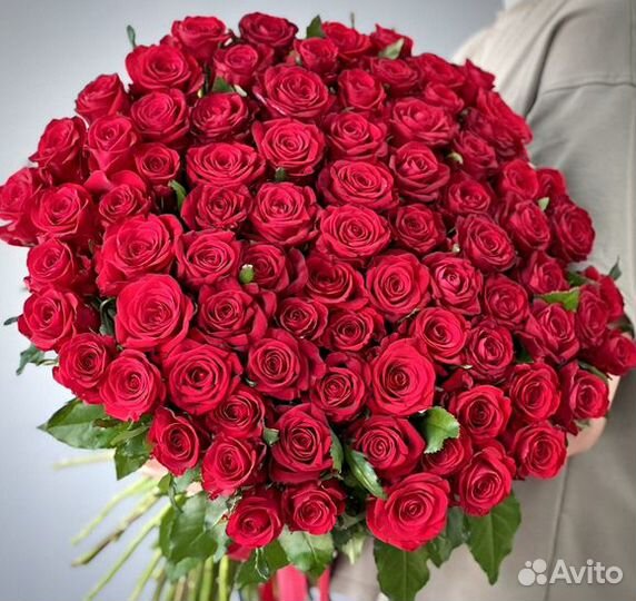Букет цветов роз - 25/51/101 роза