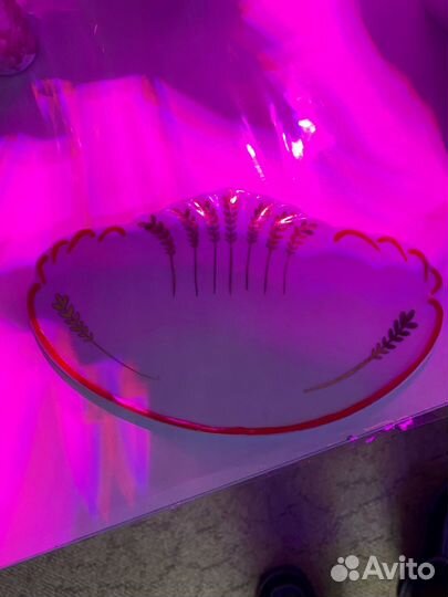 Горшинница на тарелочке Мышки