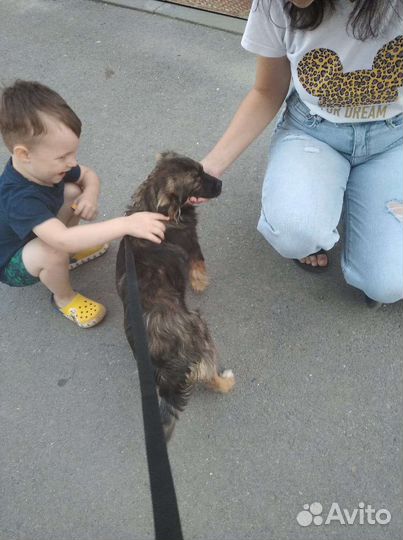 Маленькая Эля