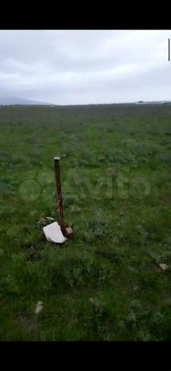 Участок 4 сот. (СНТ, ДНП)