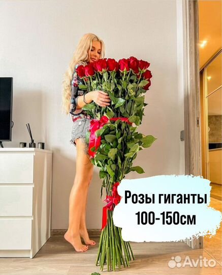 Розы гиганты