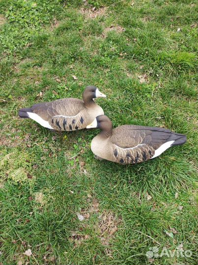 Гусь белолобый плавающий Final Approach FA