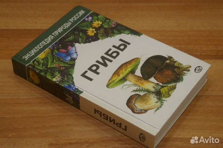 Энциклопедия природы России. Грибы