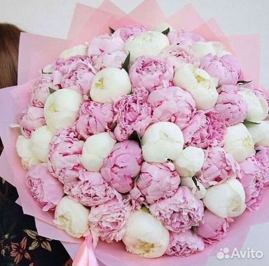 Пионы Букет пионов