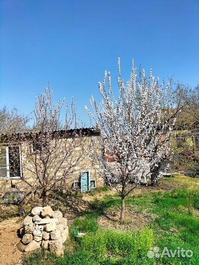 Поездки на Богдо, соленое озеро