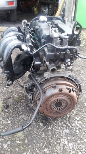 Двигатель ford focus 2. 1.4