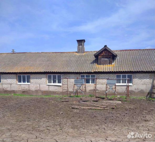 Продам животноводческую ферму