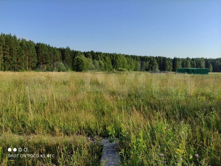 Участок 50 сот. (ИЖС)