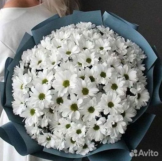 Хризантема Букеты доставка цветов