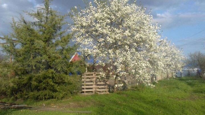 Дом 38,2 м² на участке 9 сот.