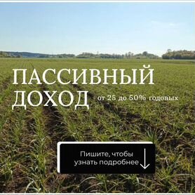 В Салавате парень попался на уловки мошенников, желая получить интим-услуги