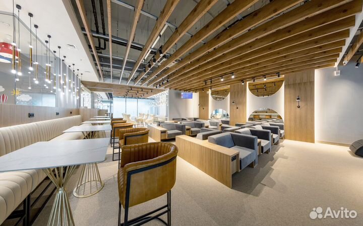 Проход в Бизнес-Зал (Иремель) в аэропорту