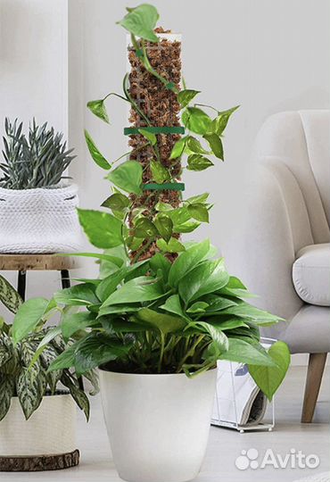 Опора (тотем) для мха