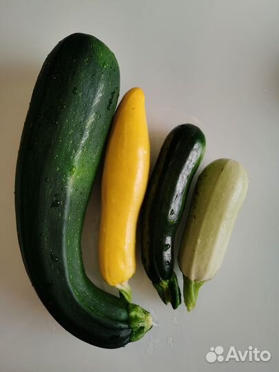 Огурцы, кабачки, петрушка