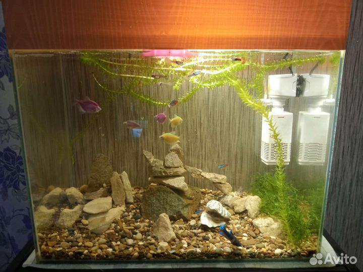Аквариум