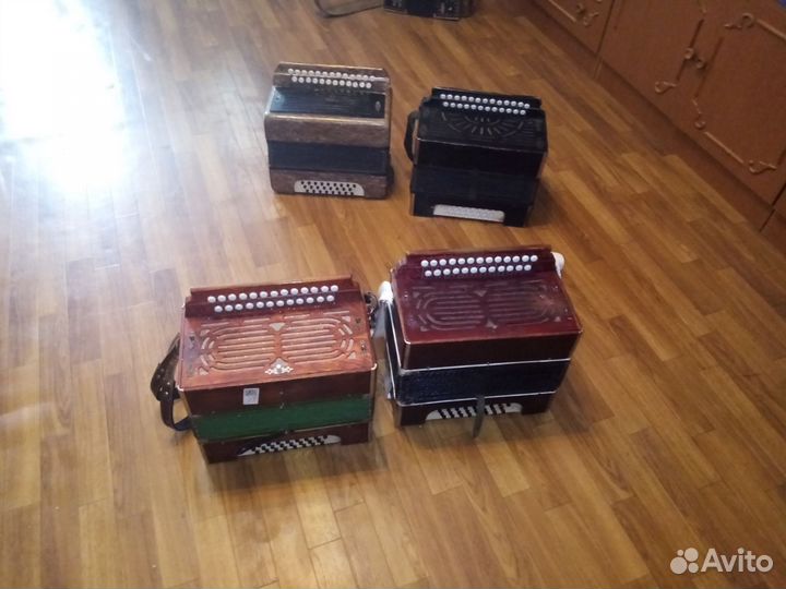 Гармошки соль