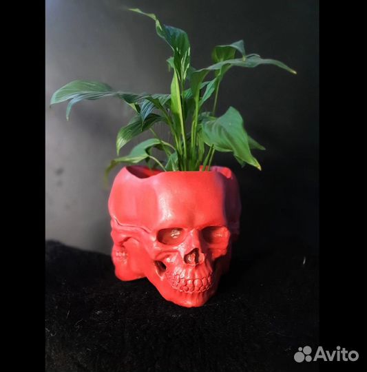 Череп, черепа для интерьера, террариума