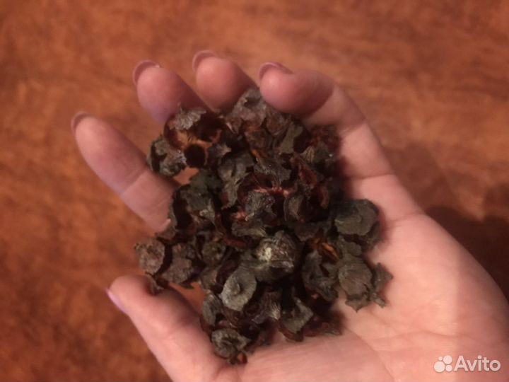 Кипарис и кипарисовик