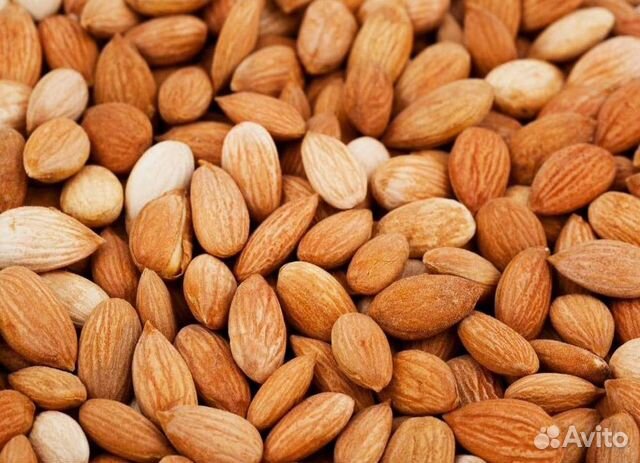 Абрикосовые косточки