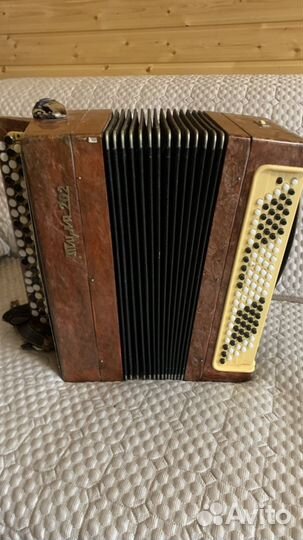 Баян тула 202