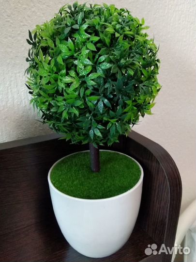 Топиарий деревце цветок в комнату