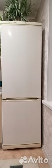 Холодильник stinol