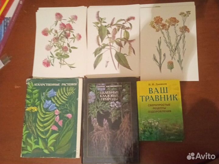 Лекарственные растения.фитотерапия против рака.мед