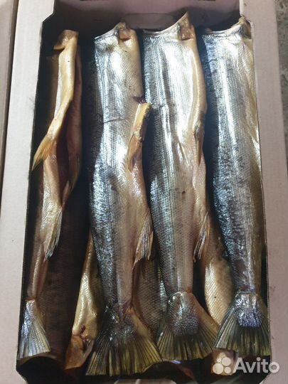 Рыба соленая, копченая, вяленая