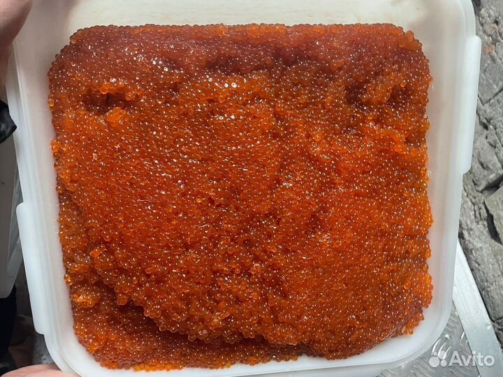 Красная икра оптом