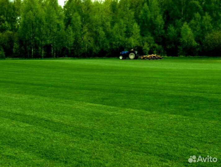 Рулонный газон 