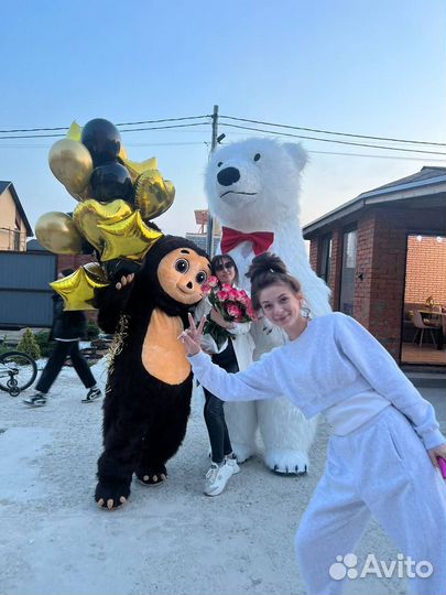 Поздравление Мишка белый/Аниматор/Ростовая кукла