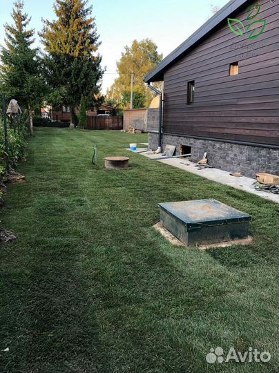 Рулонный газон под ключ