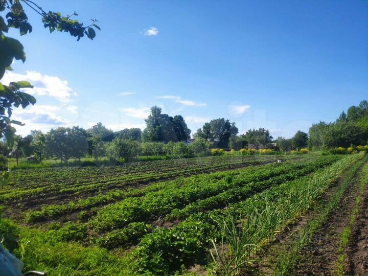 Участок 15 сот. (ИЖС)