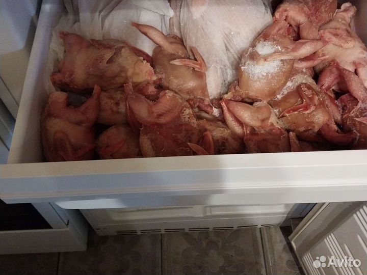 Мясо перепелов