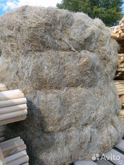 Льняная пакля