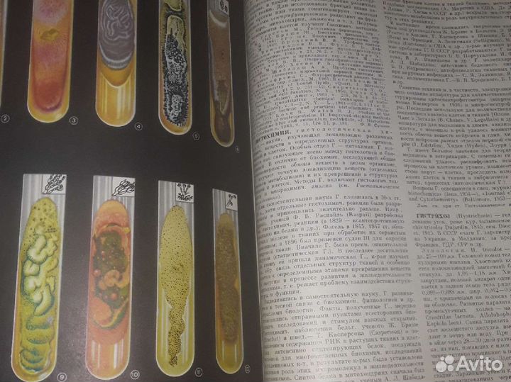 Ветеринарная энциклопедия 1968