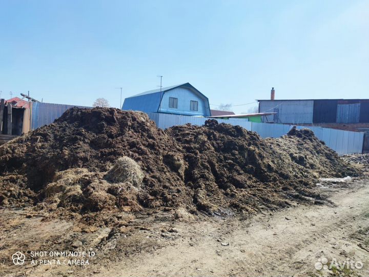 Навоз бесплатно