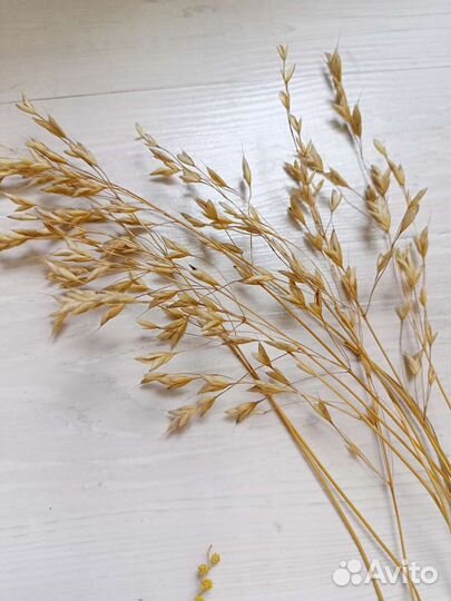 Продаю цветы для творчества