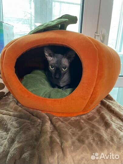 Домик для собаки