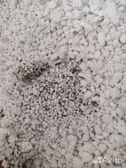 Пенополистирол дробленый