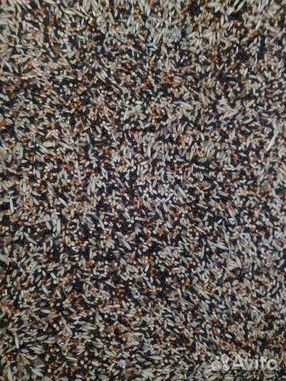 Корм для канареек