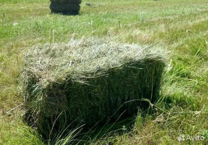 Сено и солома в тюках