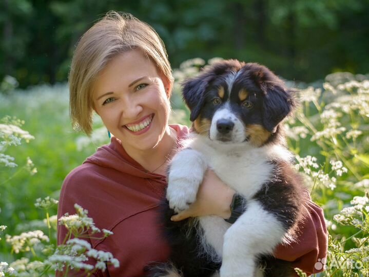 Кинолог. Дрессировка и воспитание собак и щенков