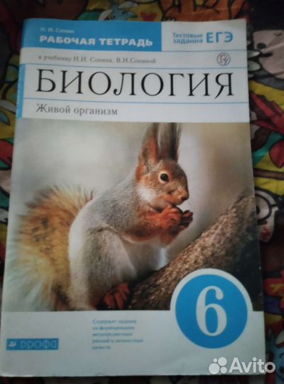 Рабочие тетради