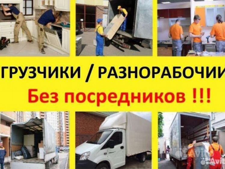 Грузчики разнорабочие на склад. Грузчики Ставрополь. Требуются разнорабочие картинки
